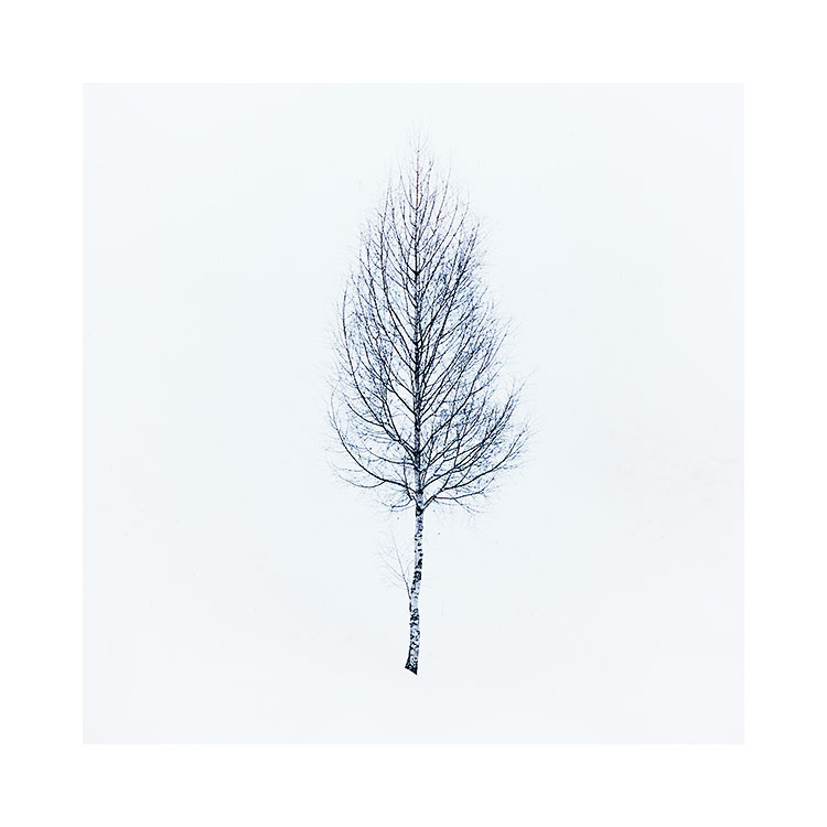 Transylvania-2018-(5).jpg