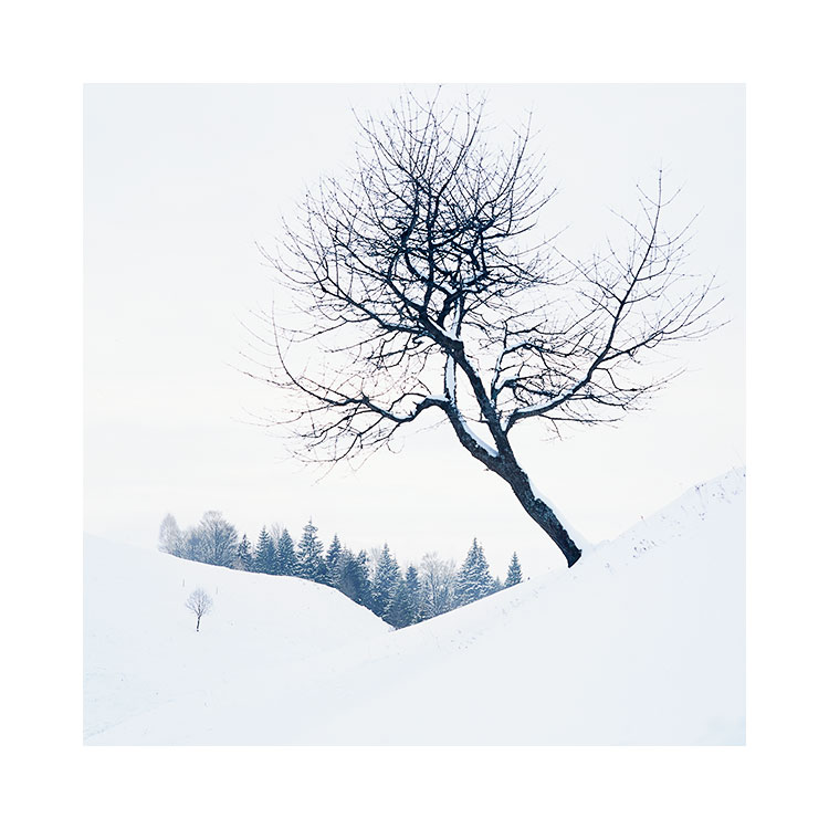 Transylvania-2018-(9).jpg