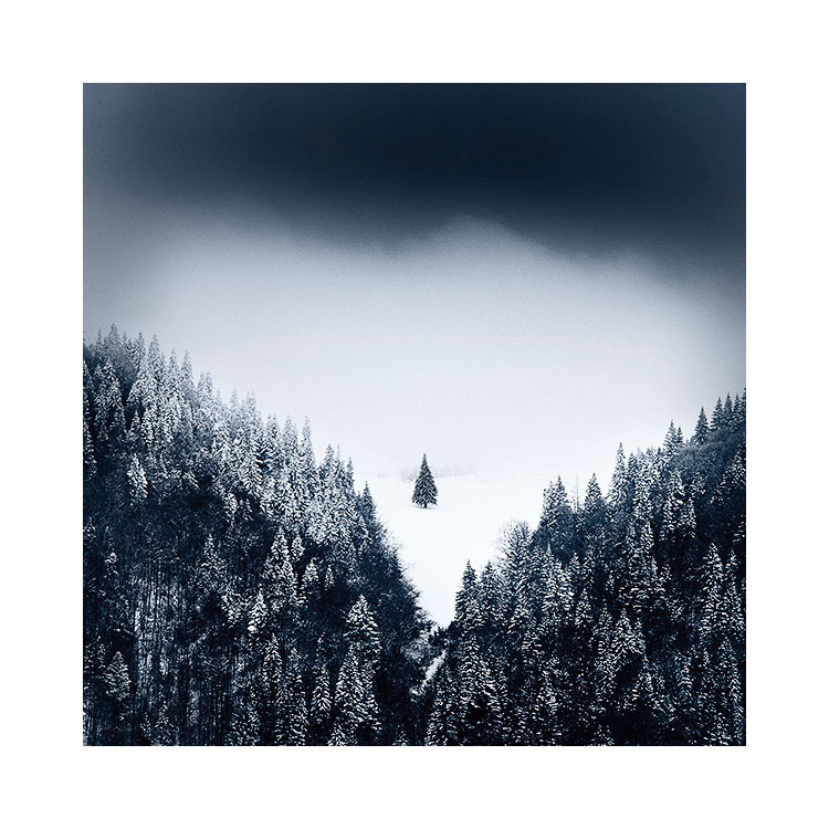 Transylvania-2018-(6).jpg