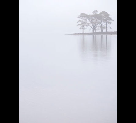 4x5.jpg