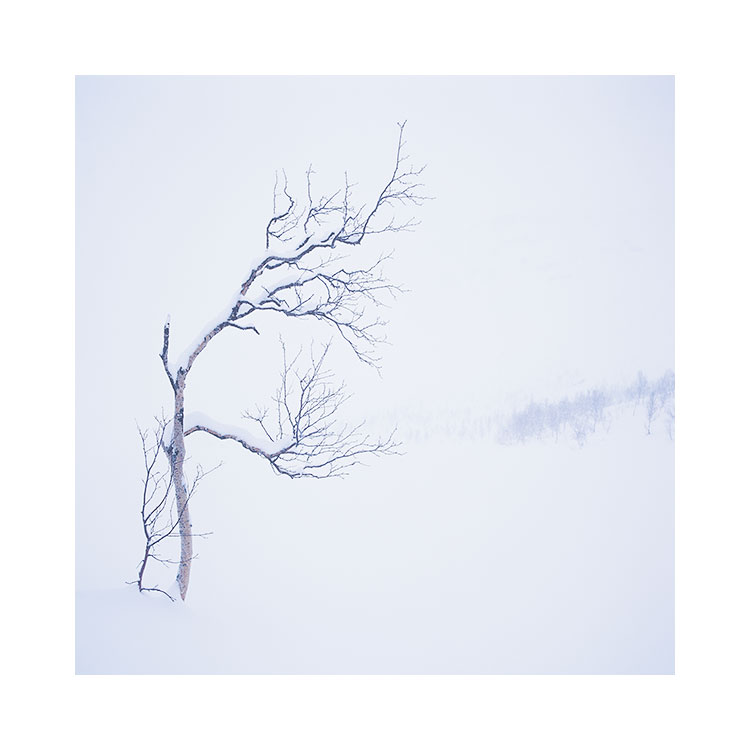 Senja-sina体育-(3).jpg