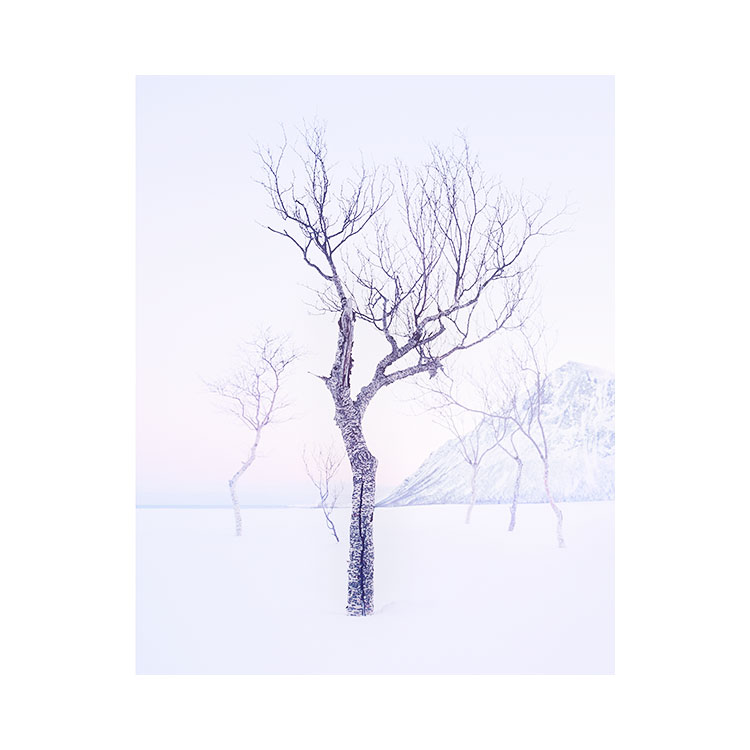Senja-sina体育-1.jpg.