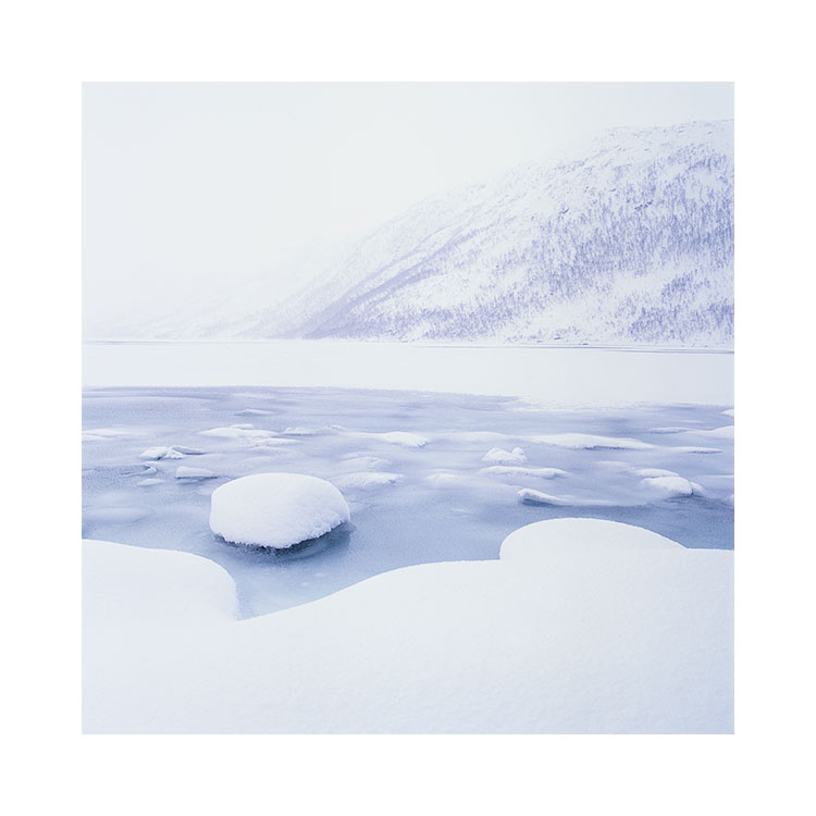 Senja-2017.jpg