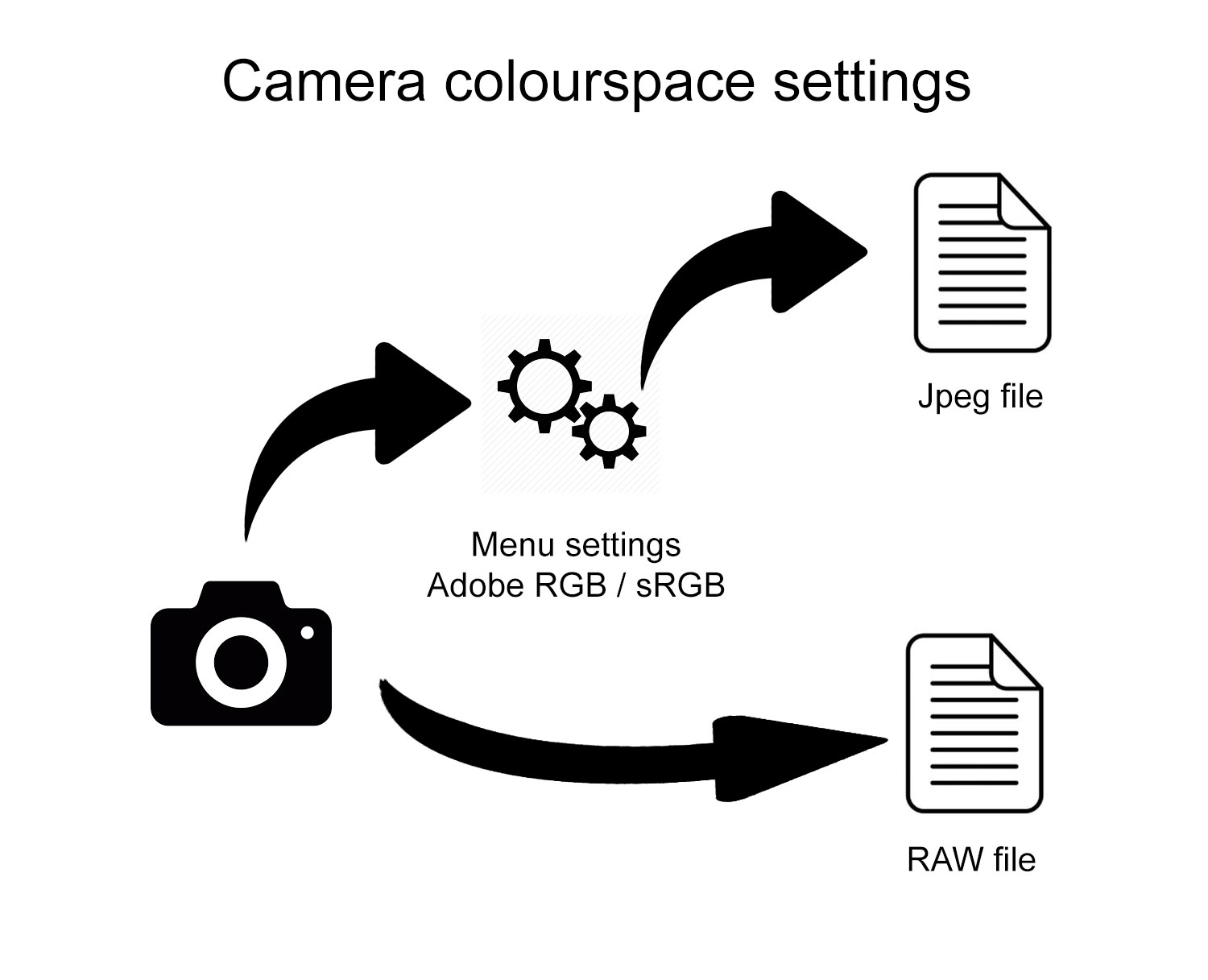 RAW-Conversion.jpg