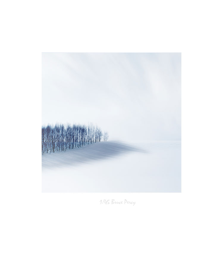 Copse-Shadow-Biei-Hokkaido-Print.jpg
