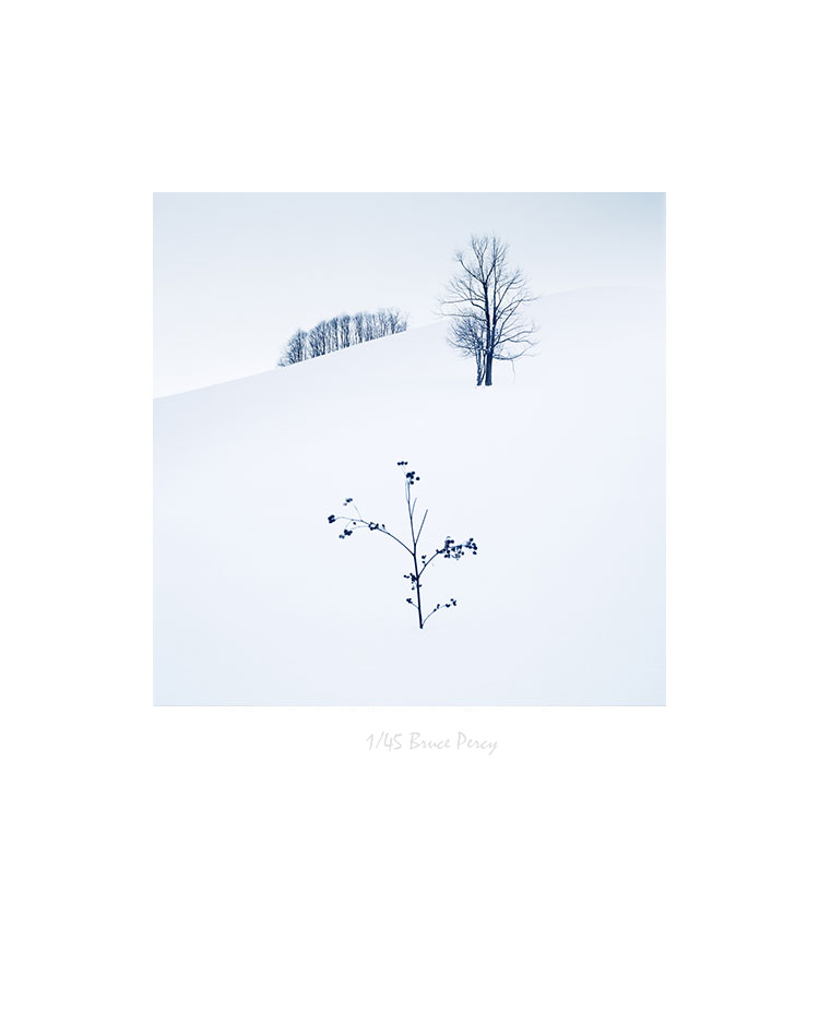 Yubetsu-Study-4-Hokkaido-Print.jpg