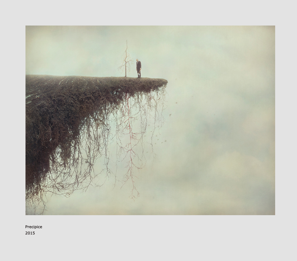 Shutice by Shana.&罗伯特霹keharrison。摄影艺术作品我在听着格洛明的美丽第一张专辑的同时遇到。