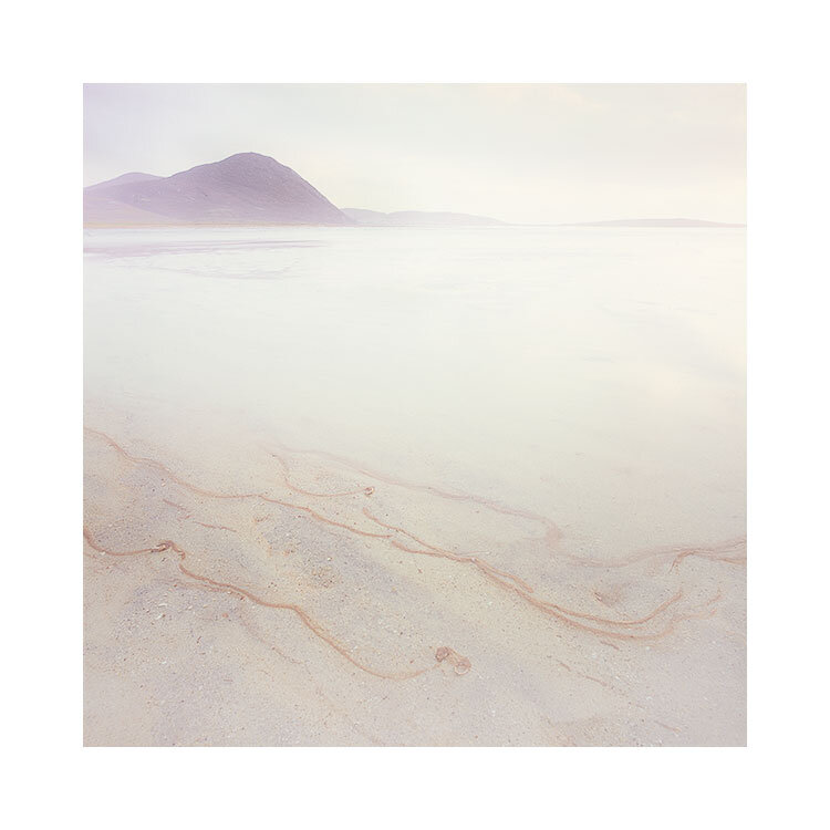 Harris-2019-(2).jpg