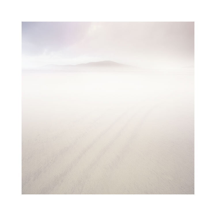 Harris-2019-(3).jpg