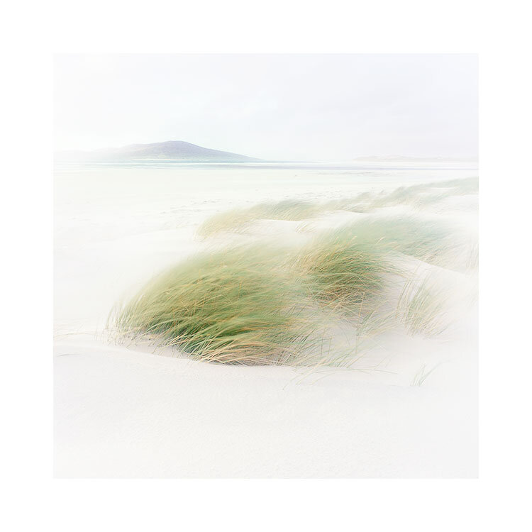 Harris-2019-(4).jpg