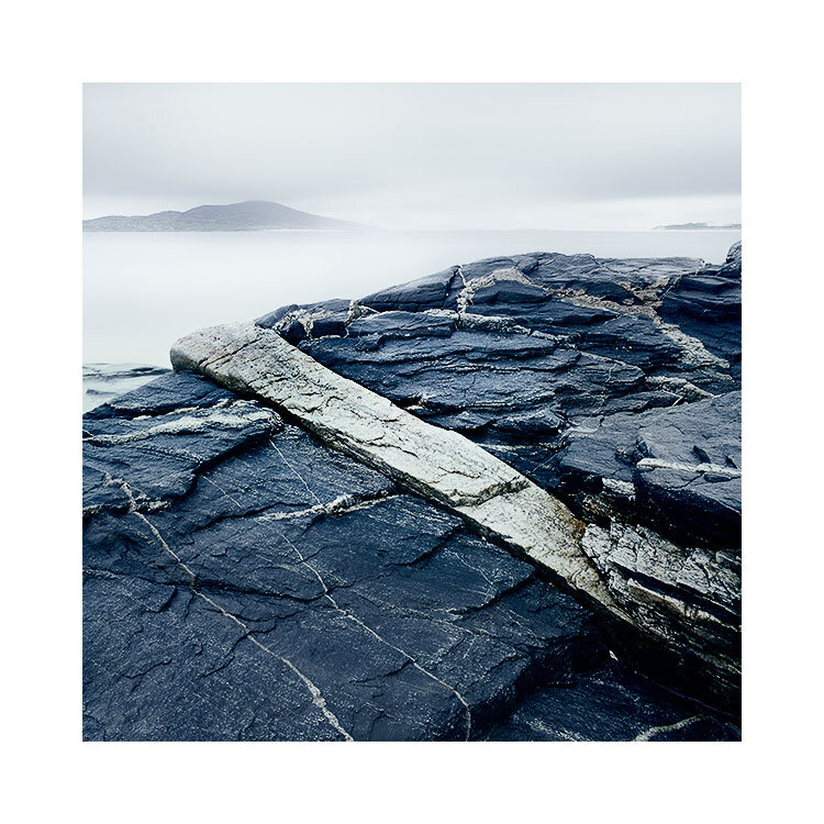 Harris-2019-(5).jpg