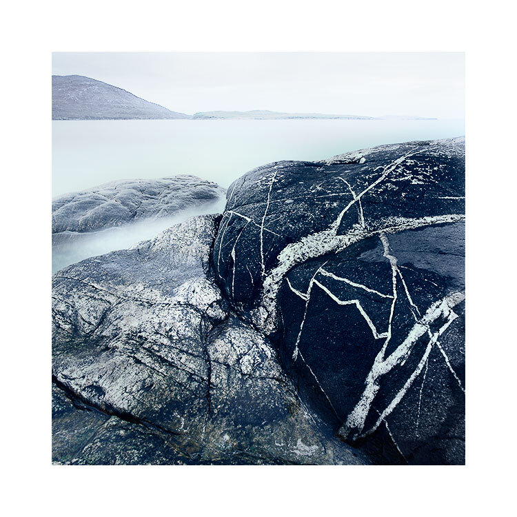 Harris-2019-(6).jpg