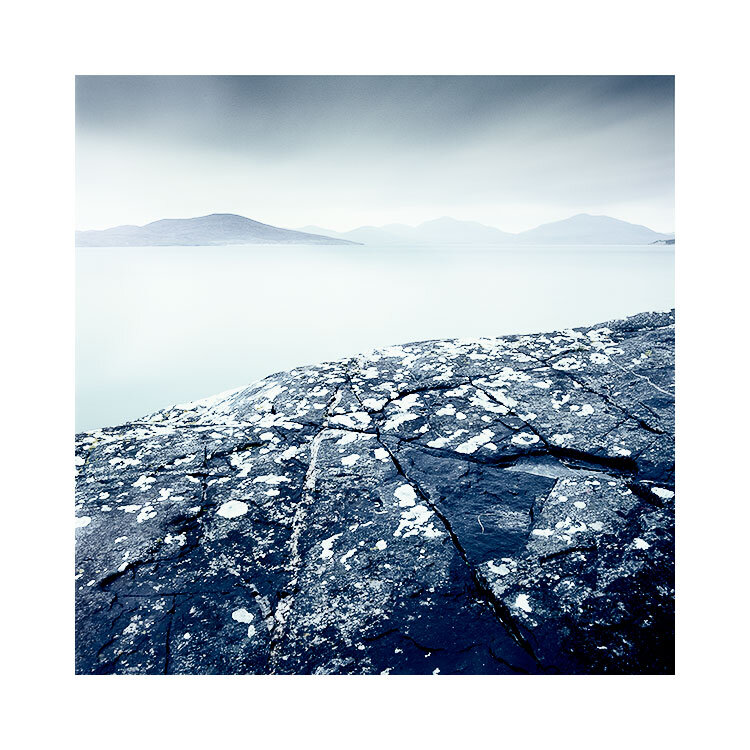 Harris-2019-(8).jpg
