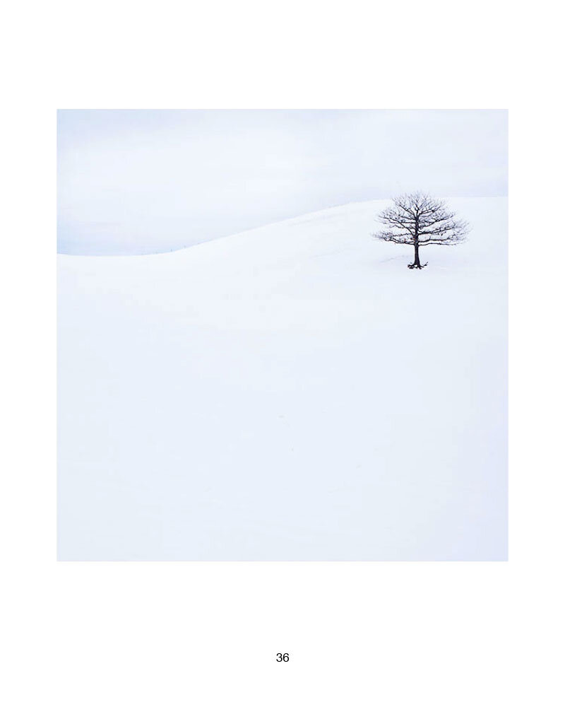 5-Creative-Process-34.jpg
