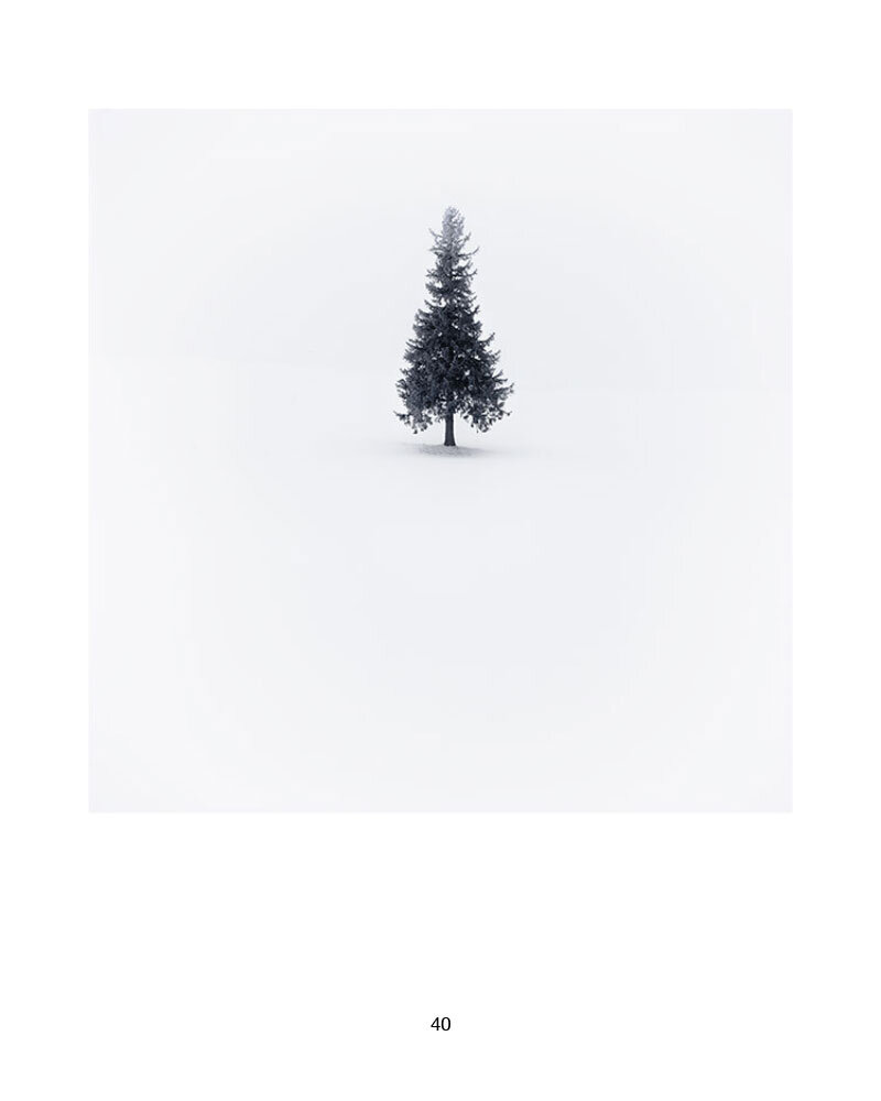 5-Creative-Process-38.jpg