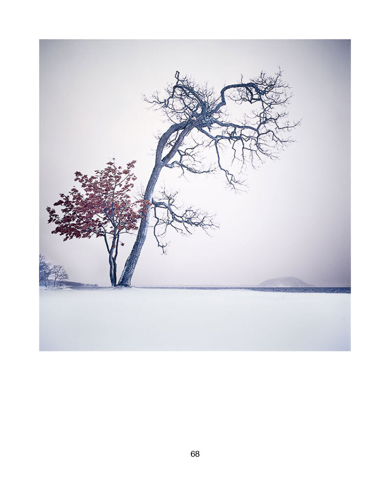 5-Creative-Process-66.jpg