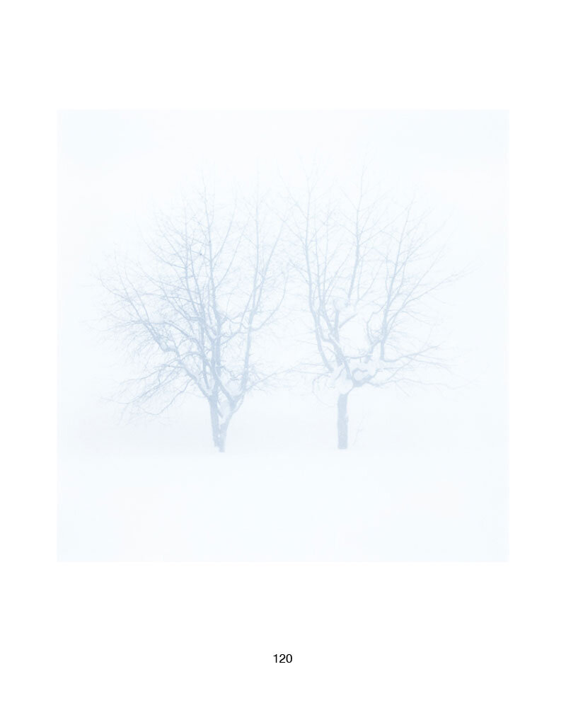 5-Creative-Process-118.jpg