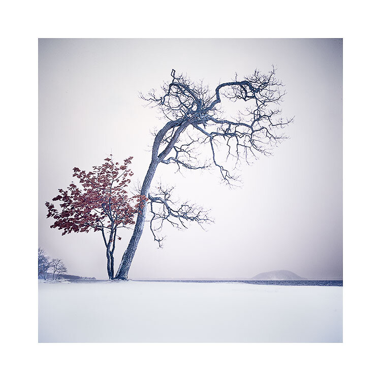 Hokkaido-2018-(22).jpg