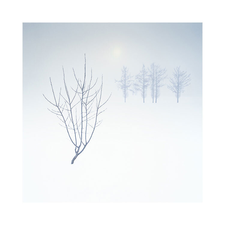 北海道-2019.jpg