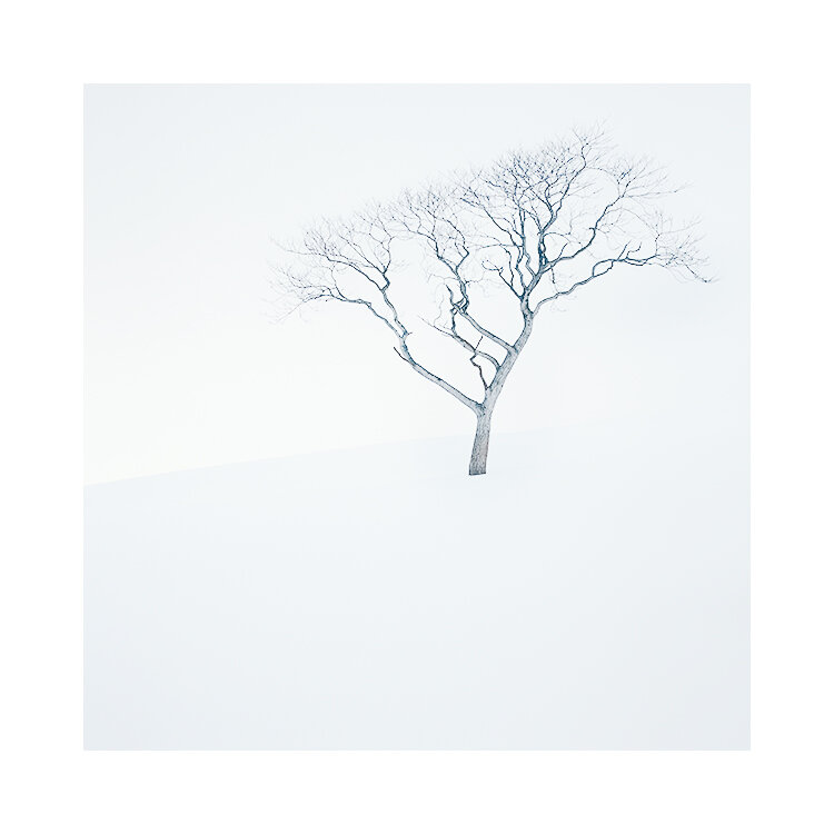 北海道-2019(2).jpg