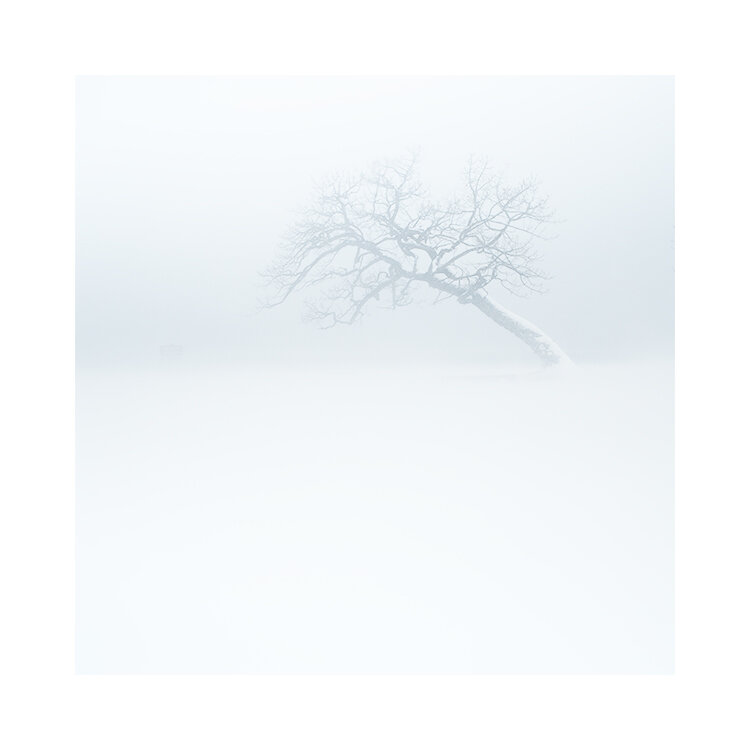 北海道-2019(3).jpg