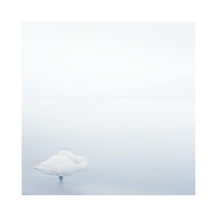 北海道-2019(4).jpg