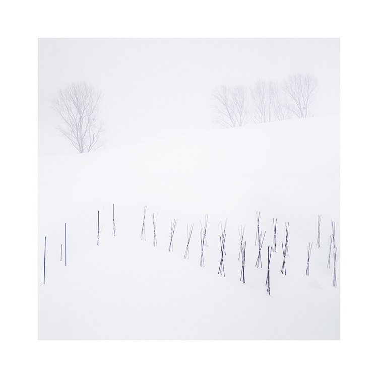 北海道-2019(7).jpg