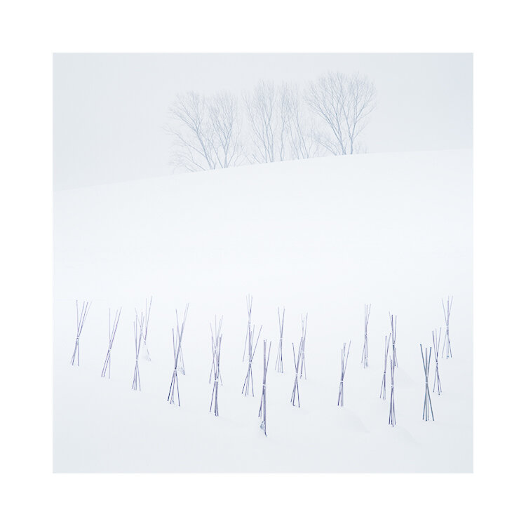 北海道-2019(8).jpg