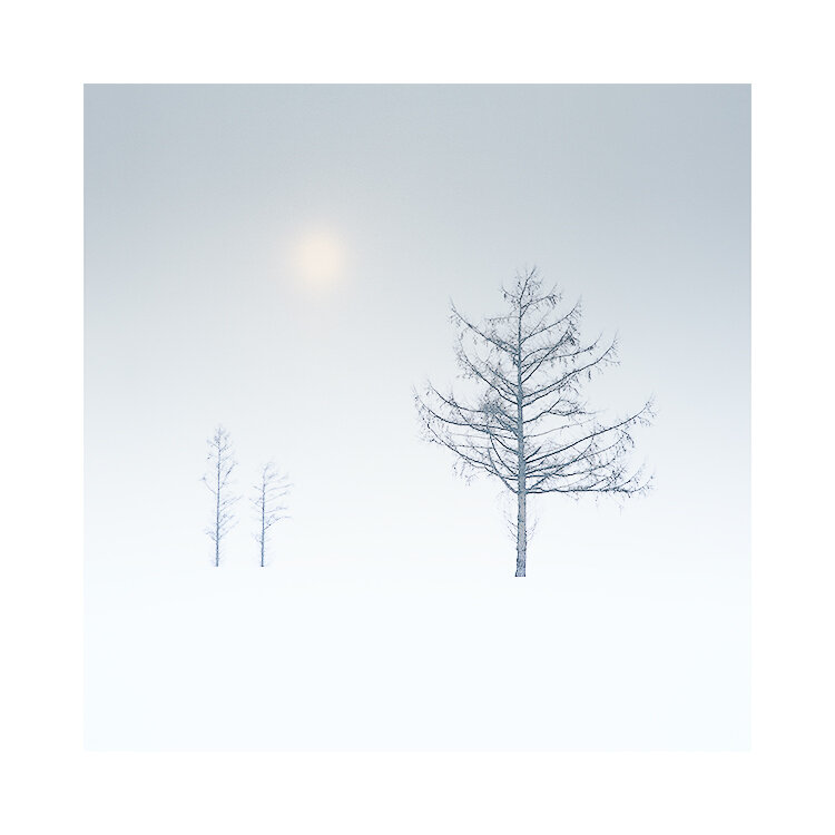 北海道-2019(18).jpg