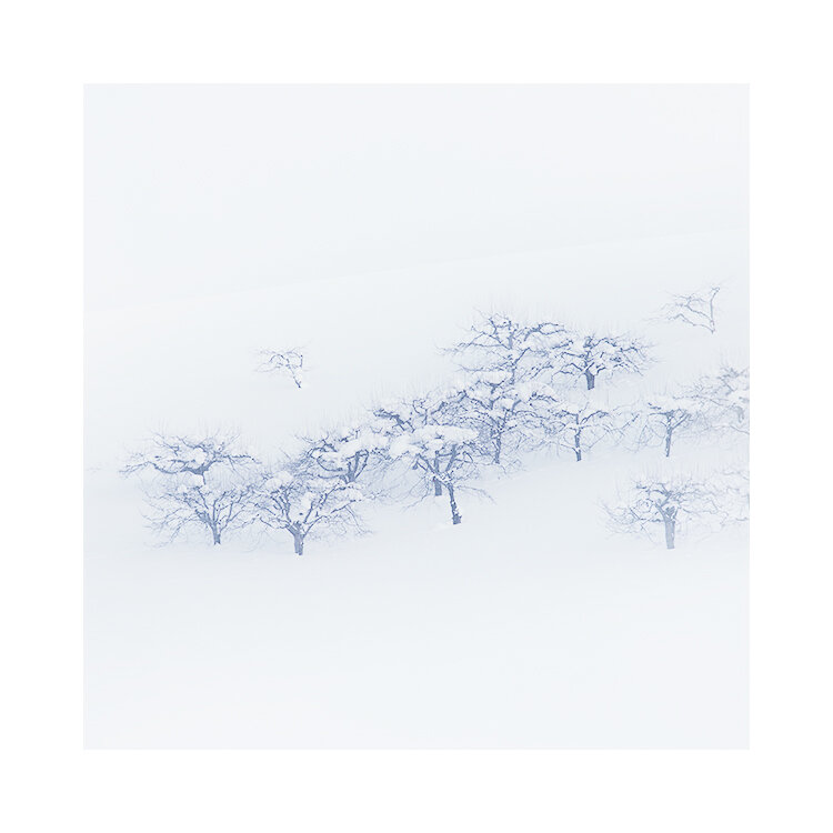 北海道-2019(19).jpg