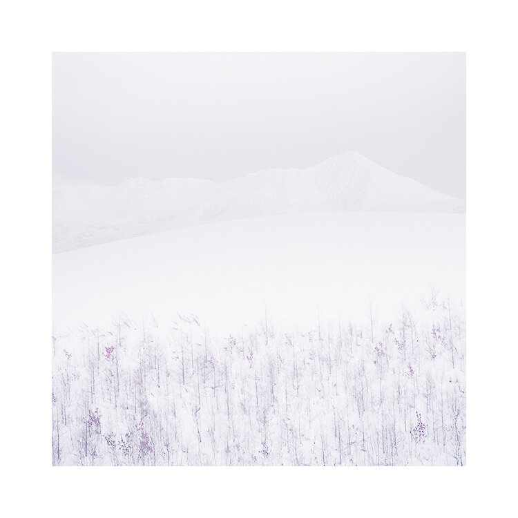 北海道-2019(31).jpg