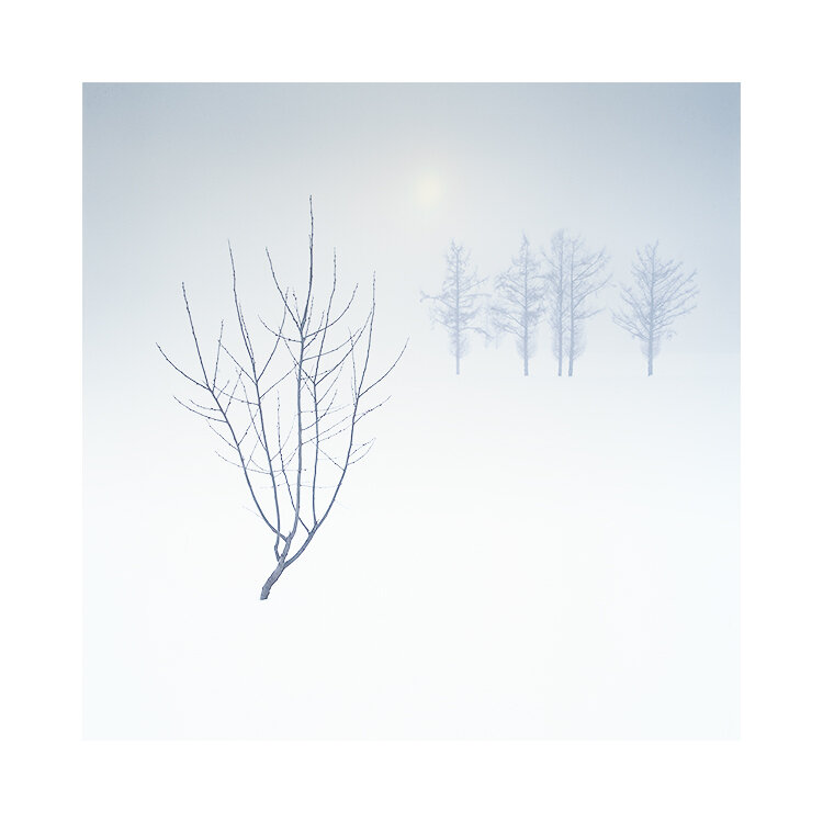 北海道-2019.jpg