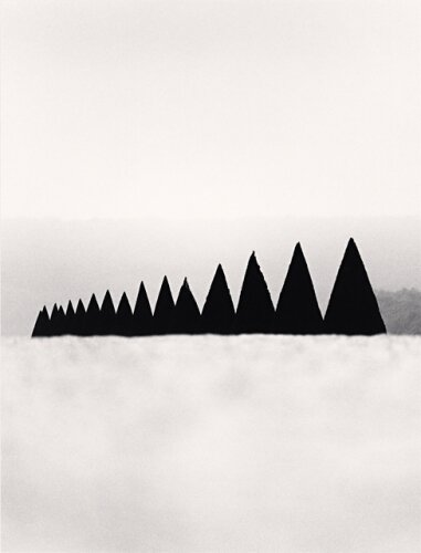 锥形树篱。图片©Michael Kenna