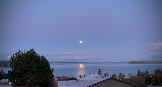 IMG_2792.jpeg.
