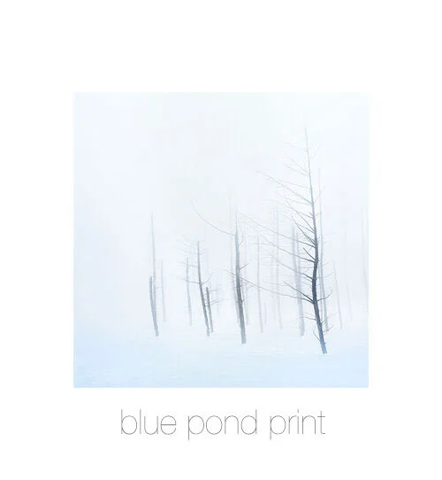 Blue-pond-print.jpg