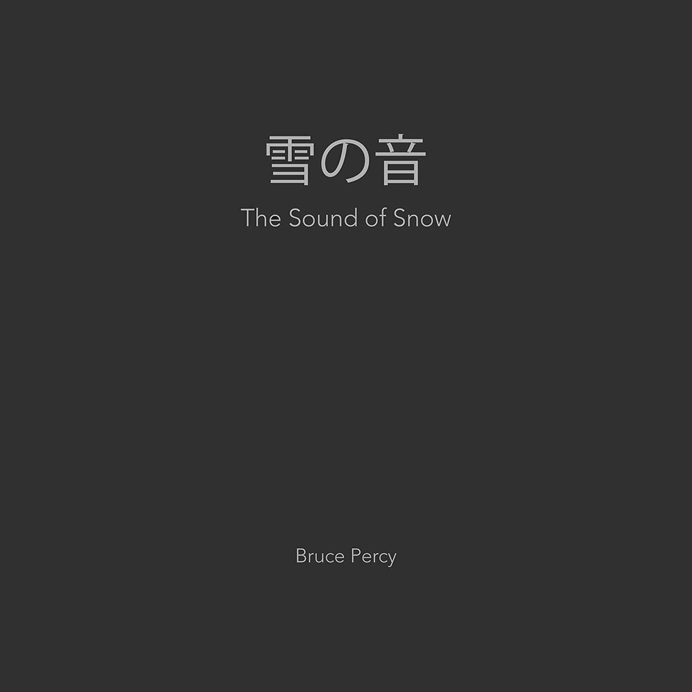 我的新书“雪的声音”:六年的冬天。六年的努力走向某事。