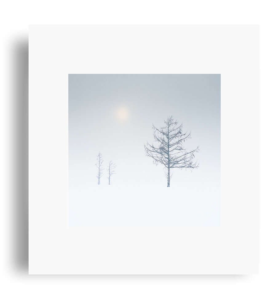 粉彩-1.jpg.