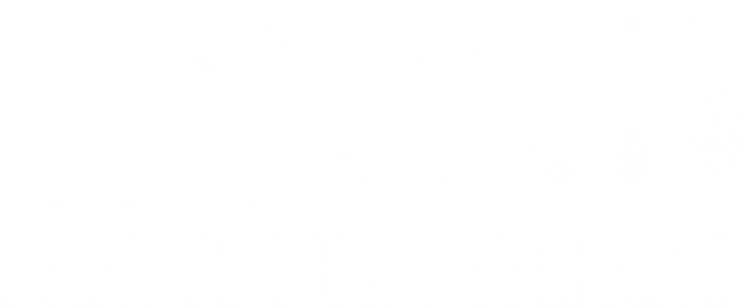 Bandit Bus Company