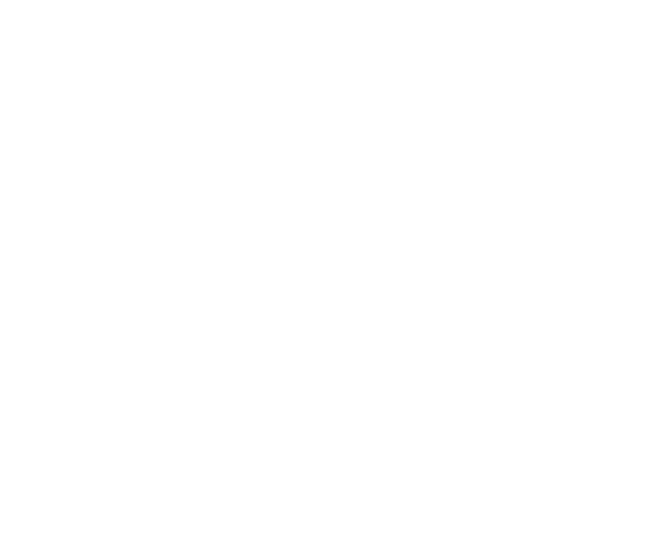 90 Meserole