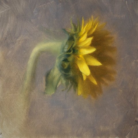 sunflower-1.jpeg