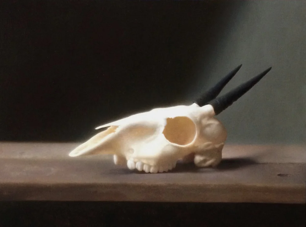 skull.jpg