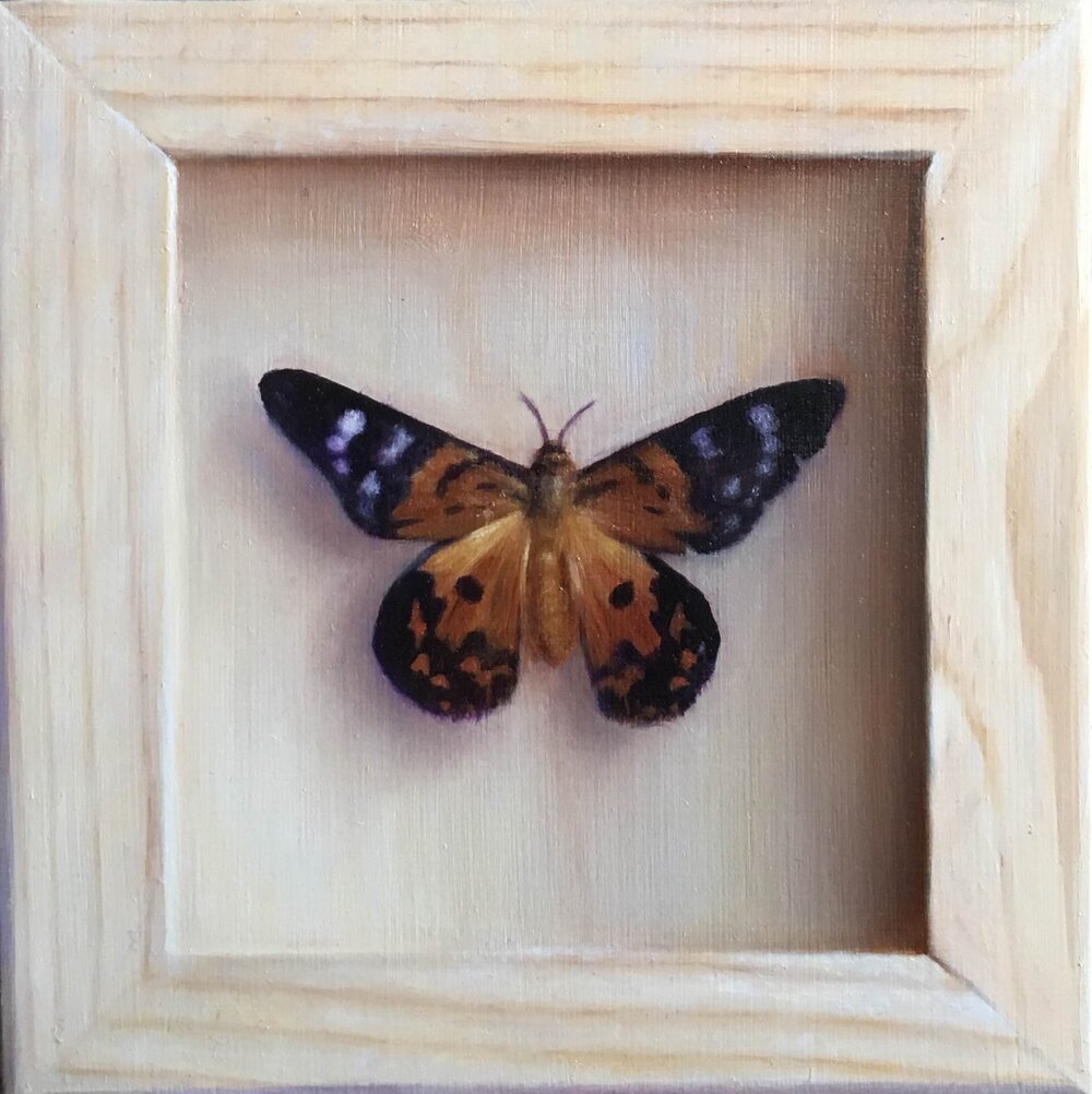Moth.jpeg