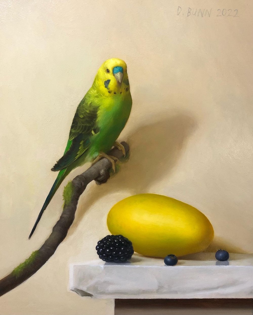 db_parakeet.jpeg