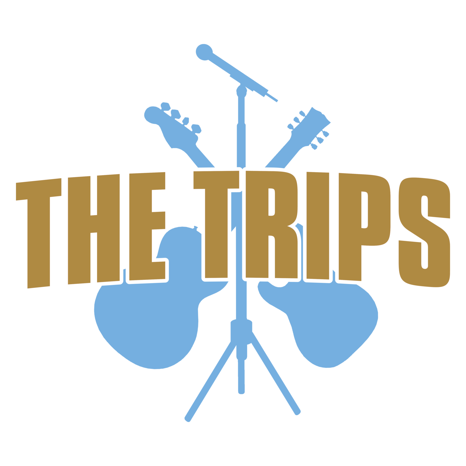 The Trips - One of Ireland's Best Wedding & Party Bands