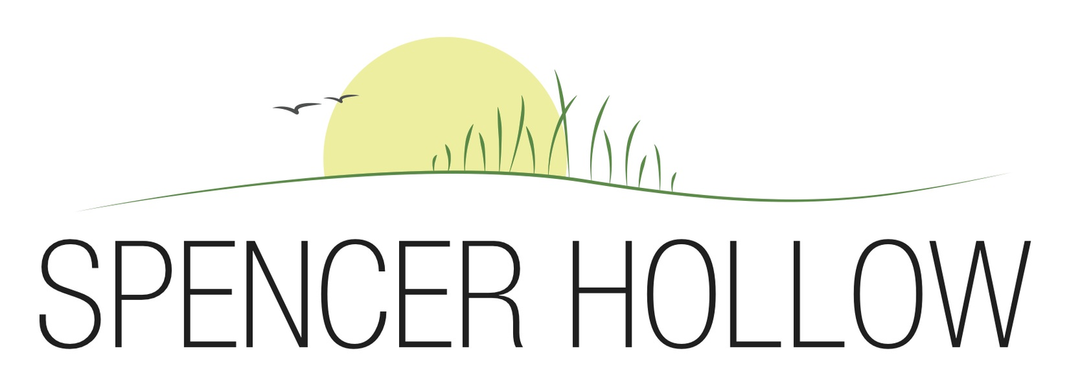 Spencer Hollow