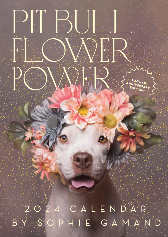 2024 Pitbulls With Flowers Calendar Dusty Glynnis