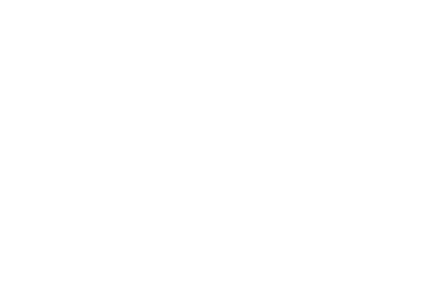 The Abigail Adams Institute