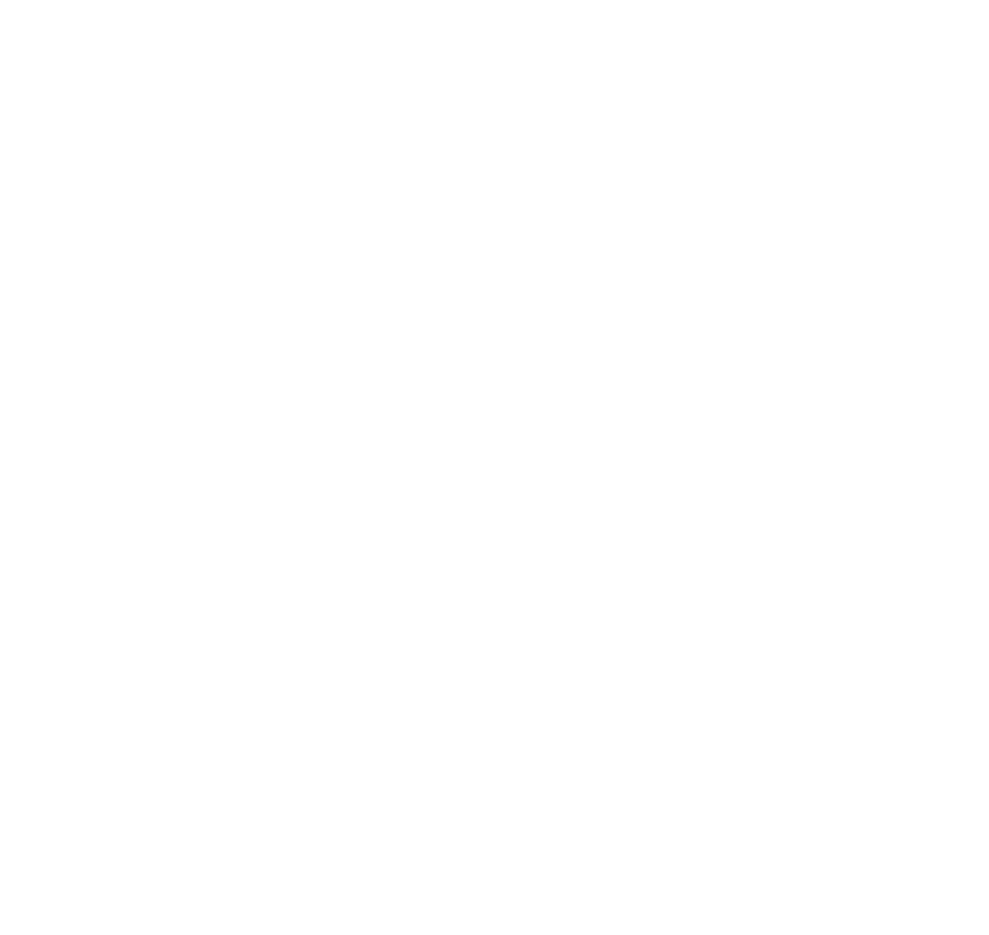 The Icarus Institute