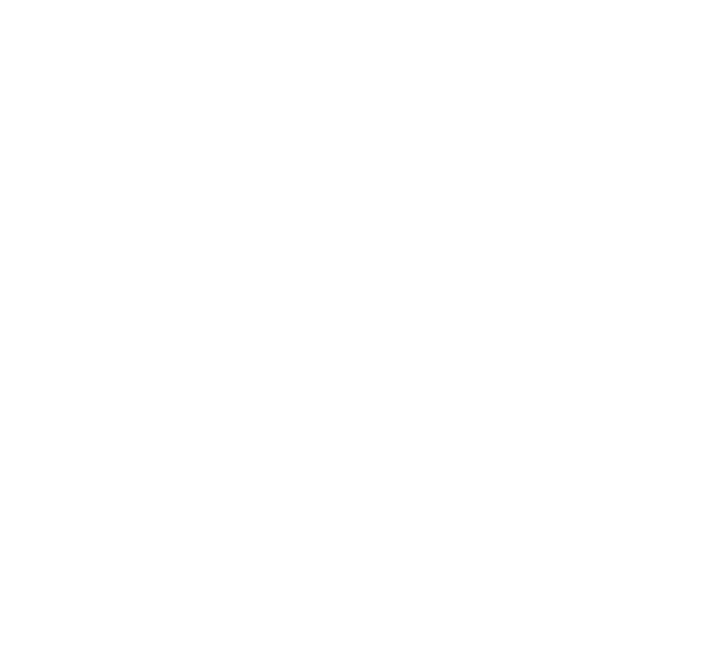 The Icarus Institute