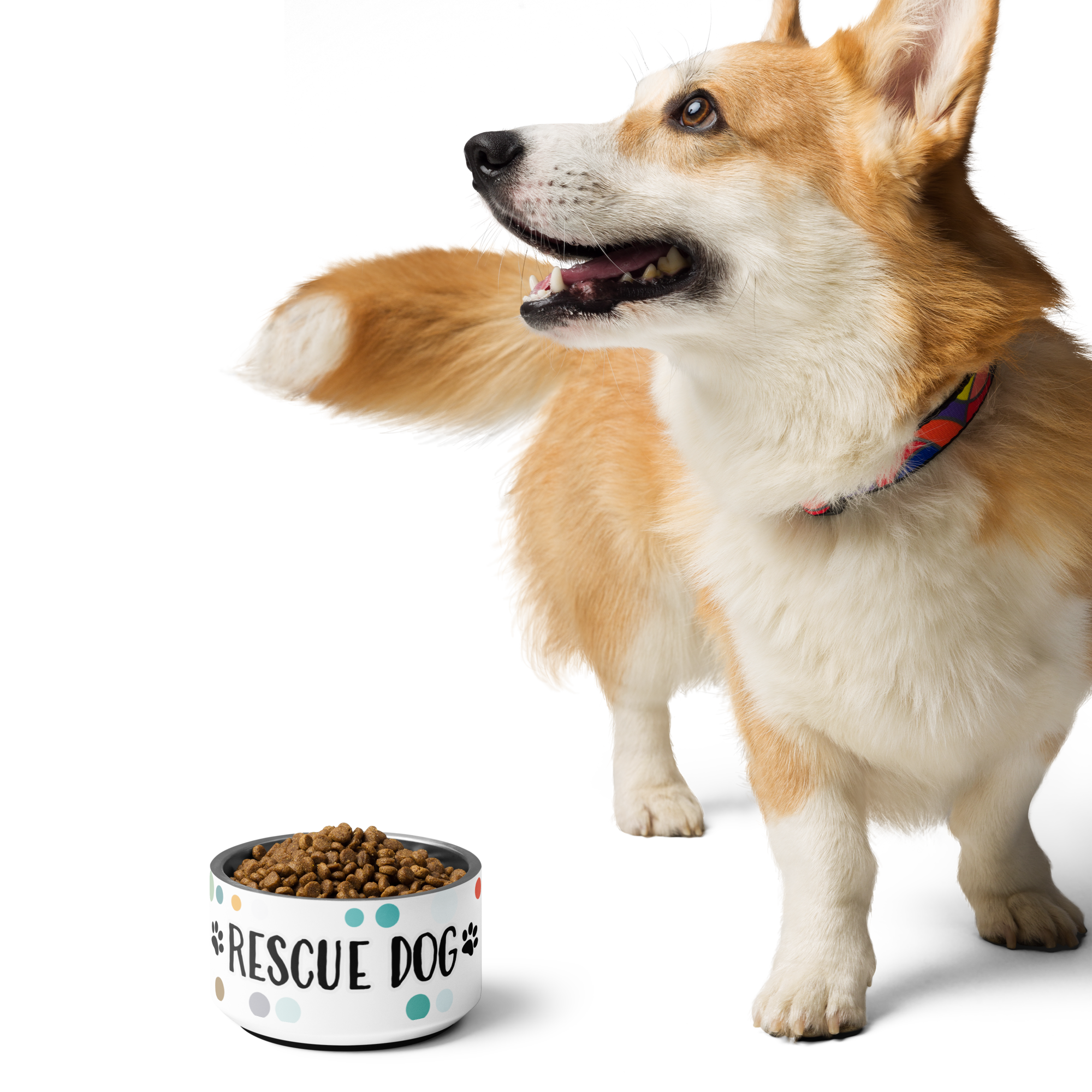 Rescue Dog Pet Bowl — Dog Rescue